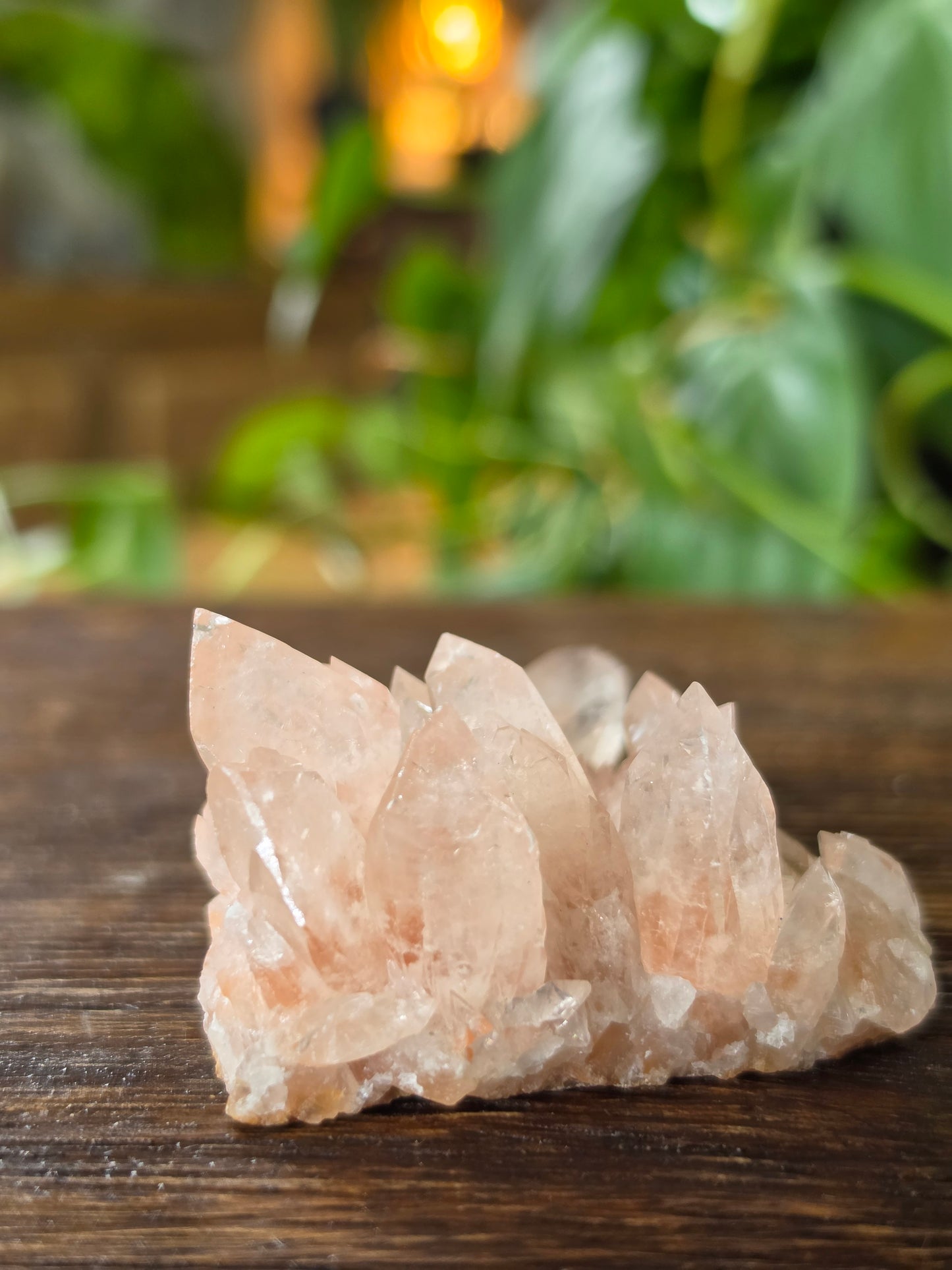 Swallowtail Calcite Crystal Specimen