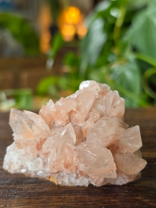 Swallowtail Calcite Crystal Specimen
