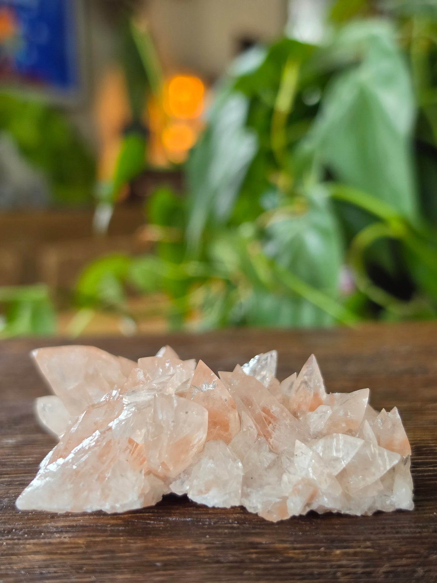 Swallowtail Calcite Crystal Specimen
