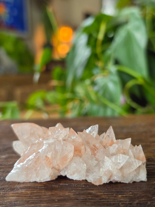 Swallowtail Calcite Crystal Specimen