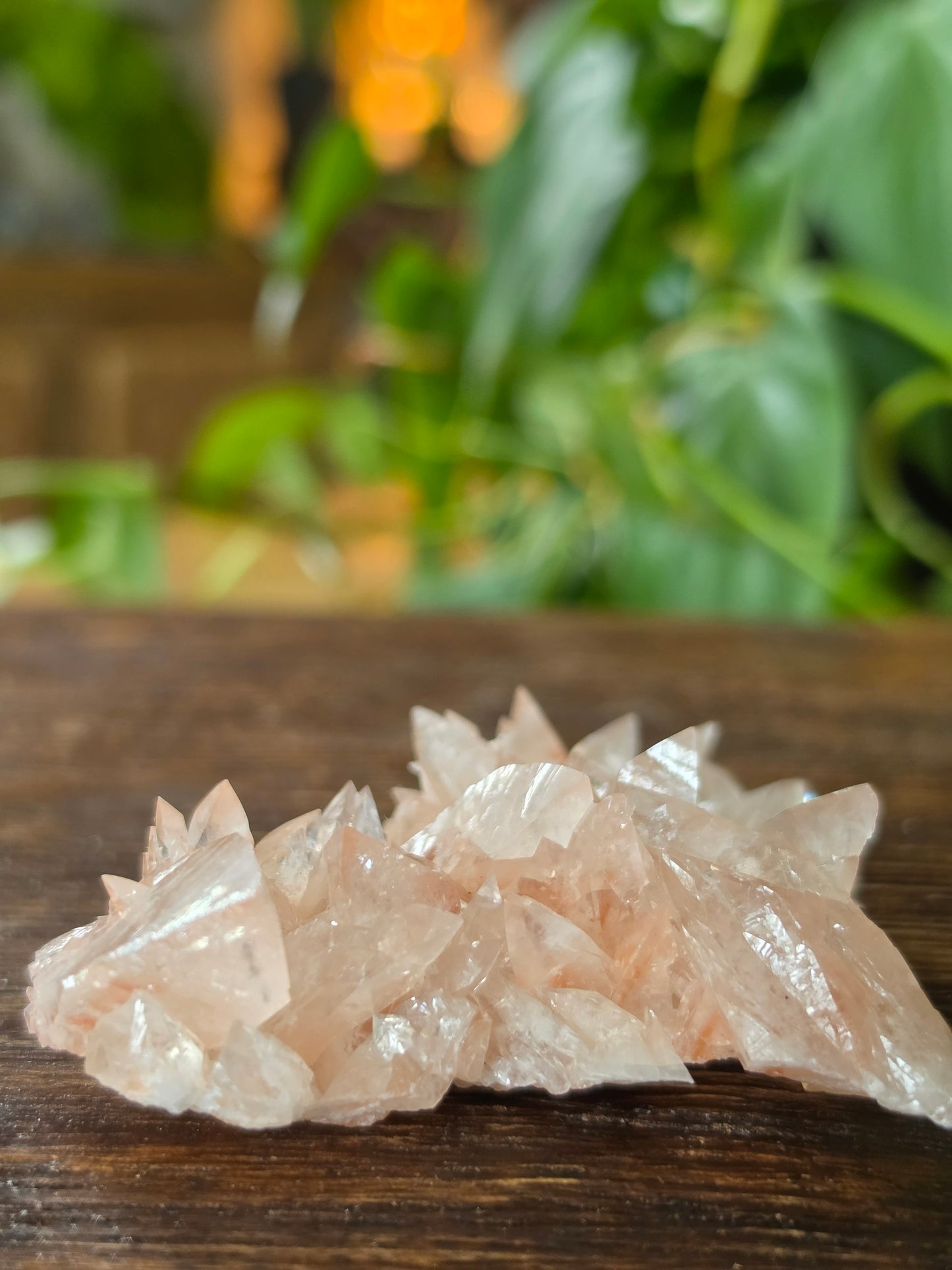 Swallowtail Calcite Crystal Specimen