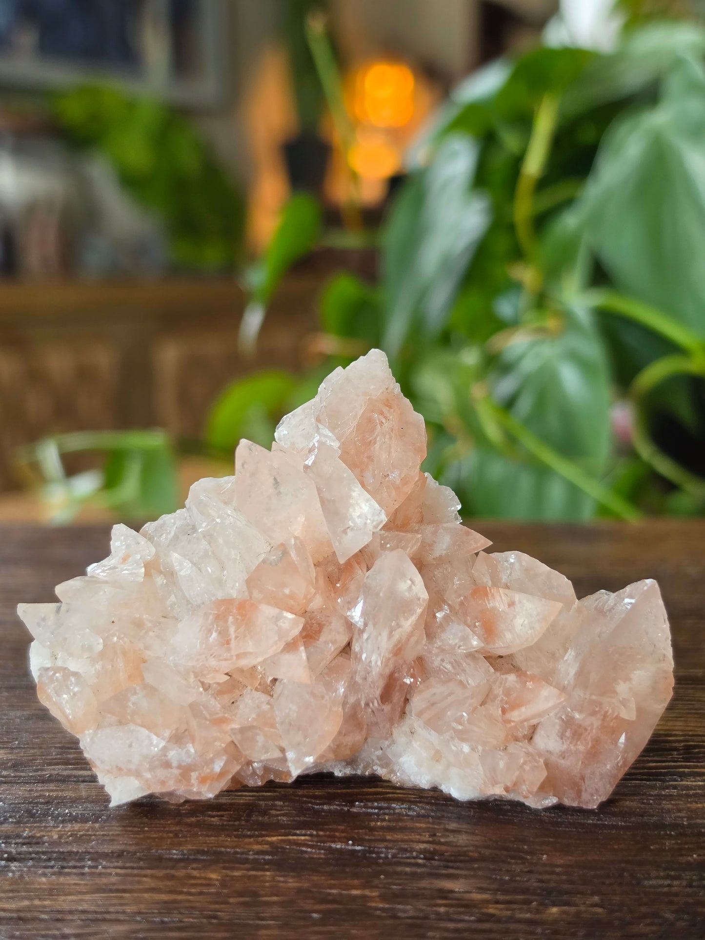 Swallowtail Calcite Crystal Specimen
