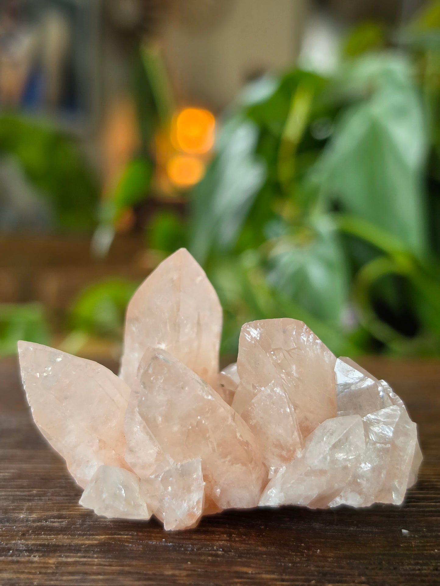 Swallowtail Calcite Crystal Specimen