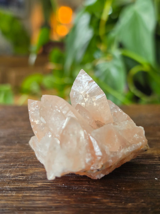 Swallowtail Calcite Crystal Specimen