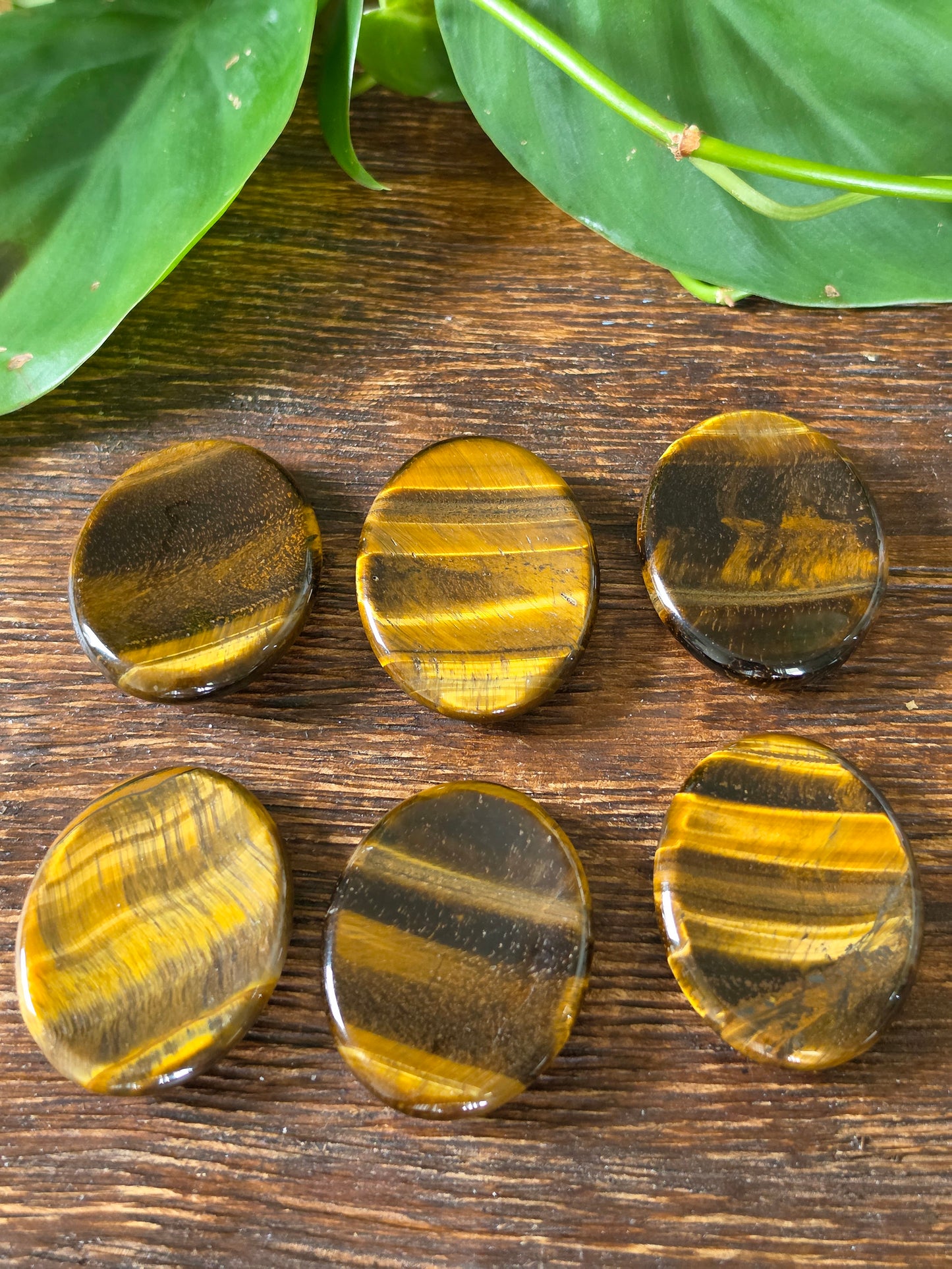 Tiger's Eye Worry Stone