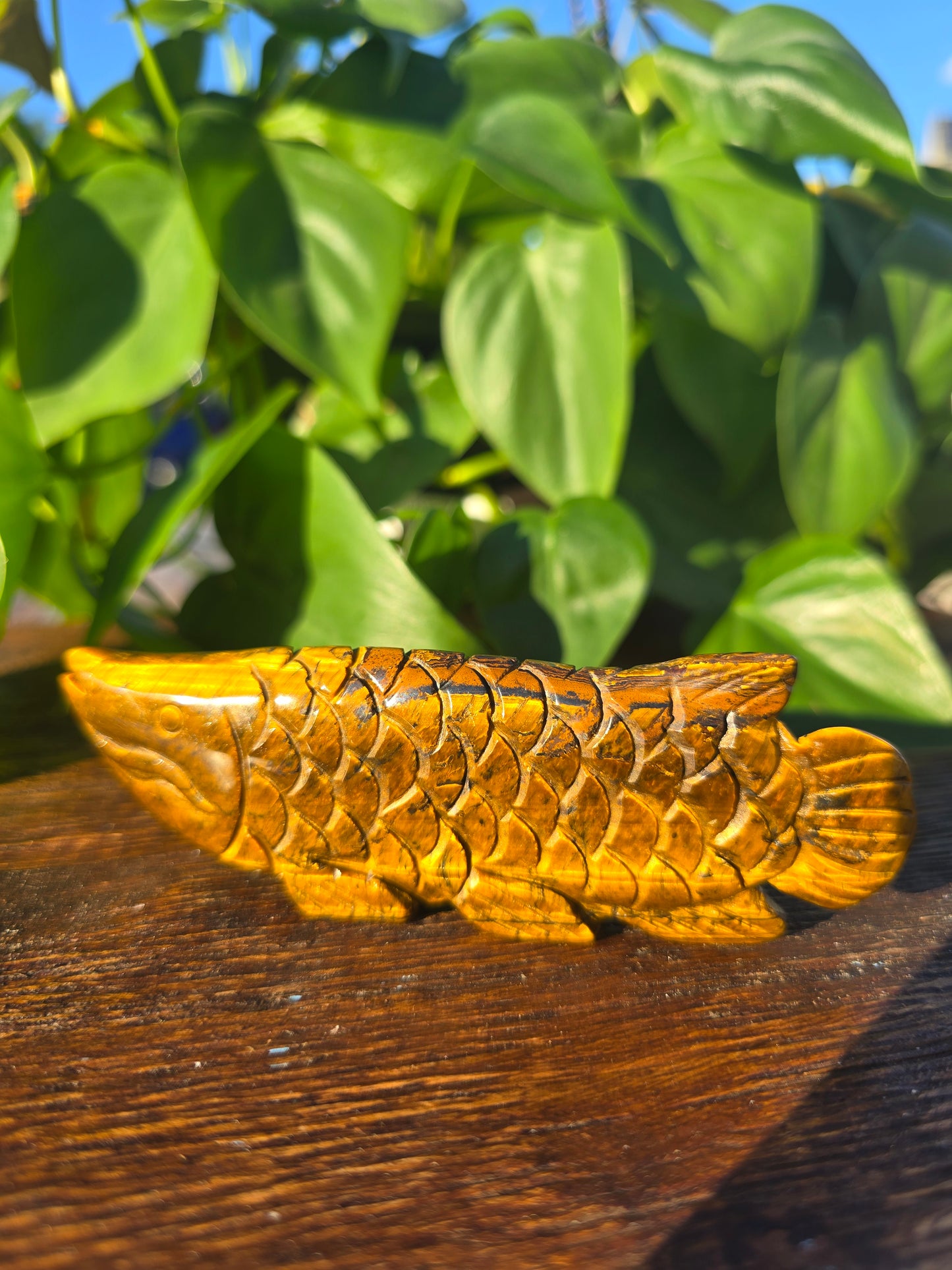 Tiger's Eye Fish Carving "C"