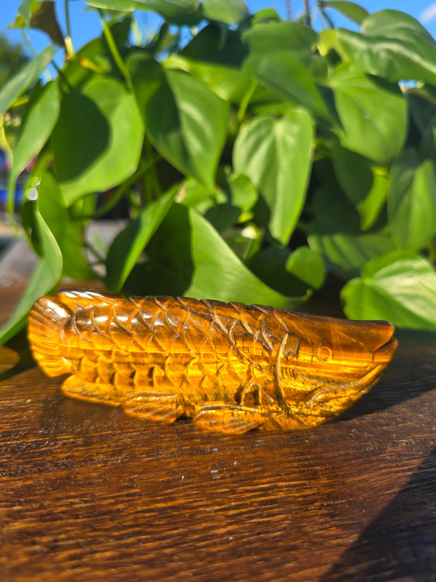 Tiger's Eye Fish Carving "B"