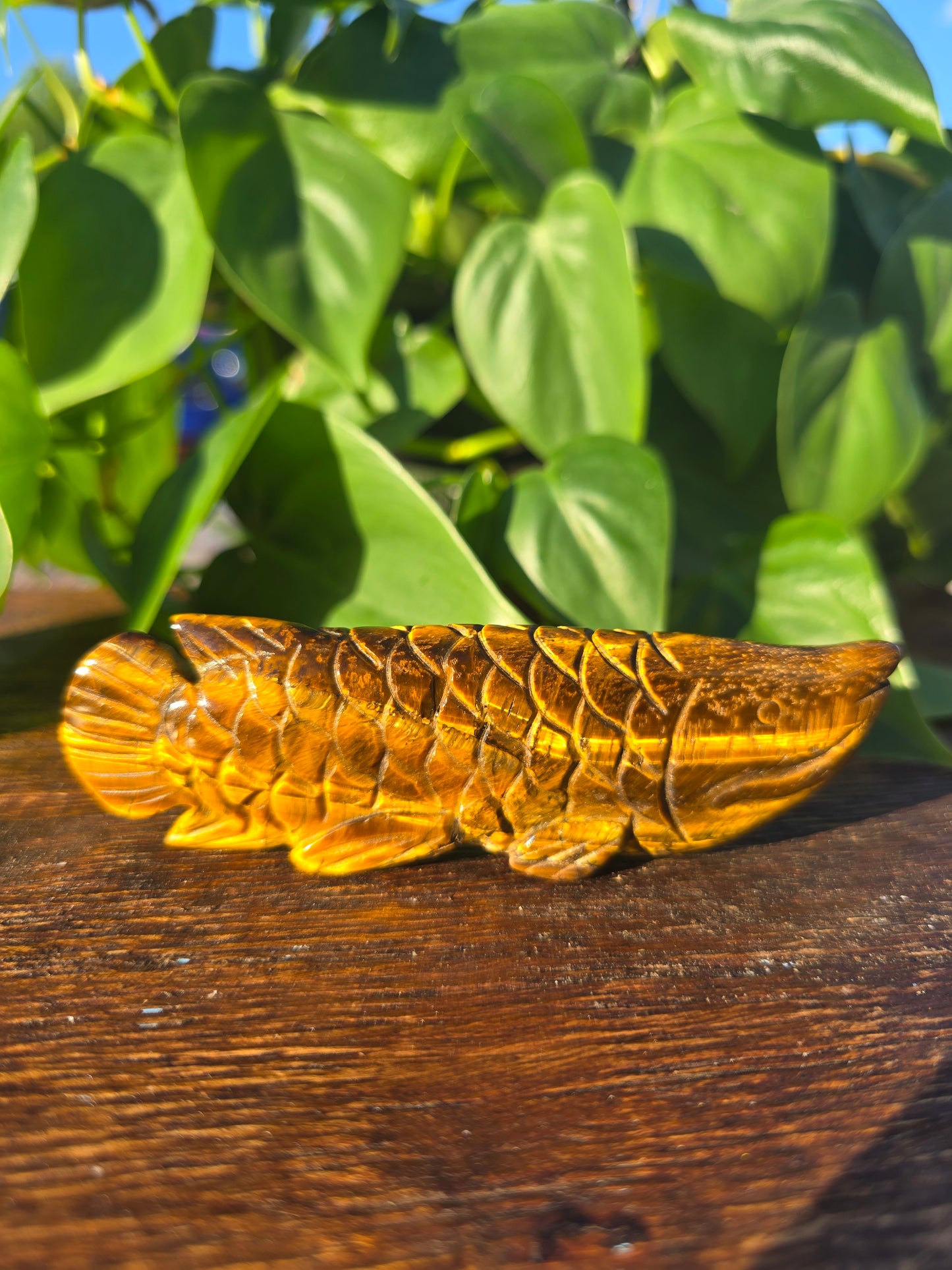 Tiger's Eye Fish Carving "A"