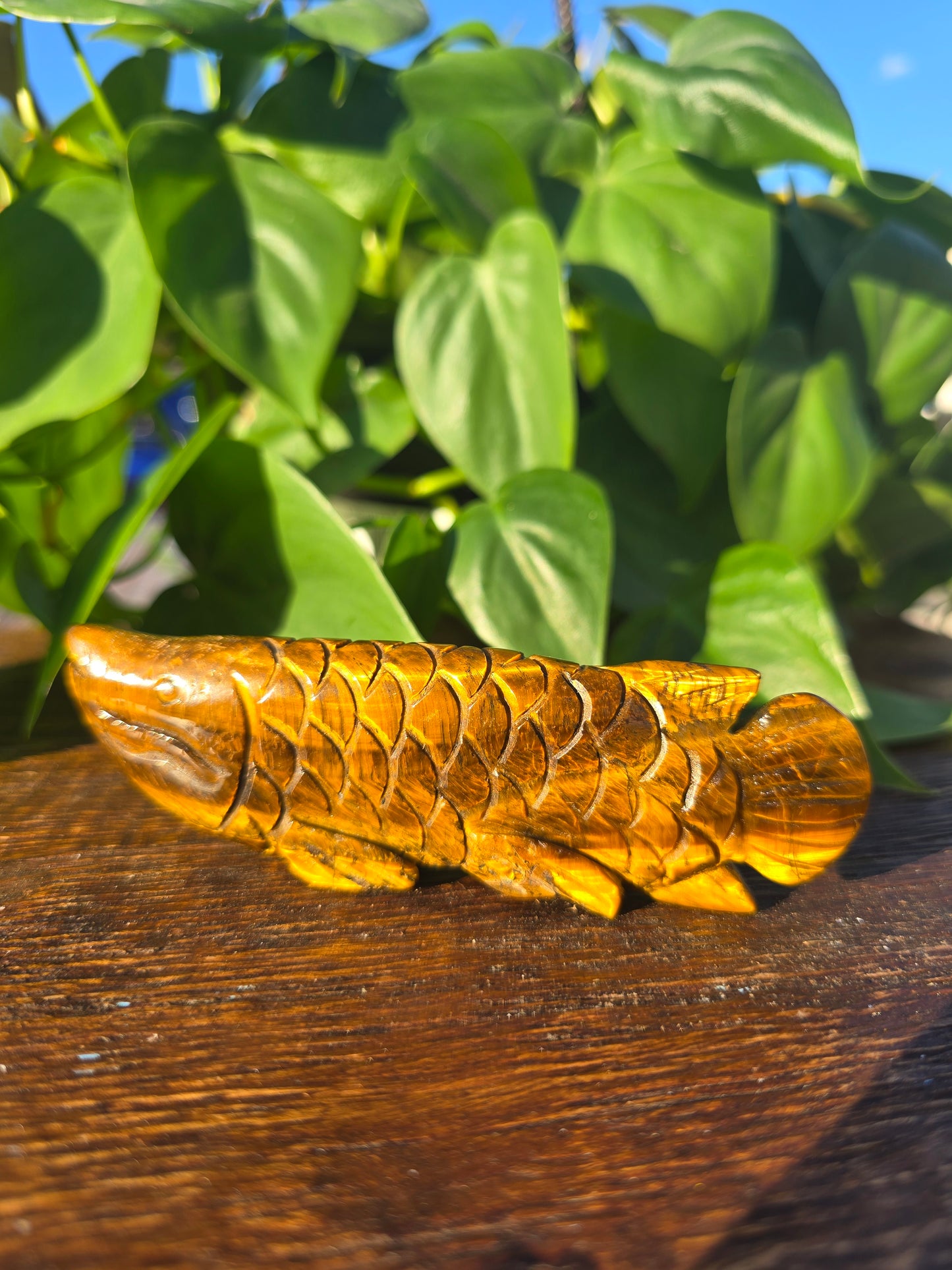 Tiger's Eye Fish Carving "A"