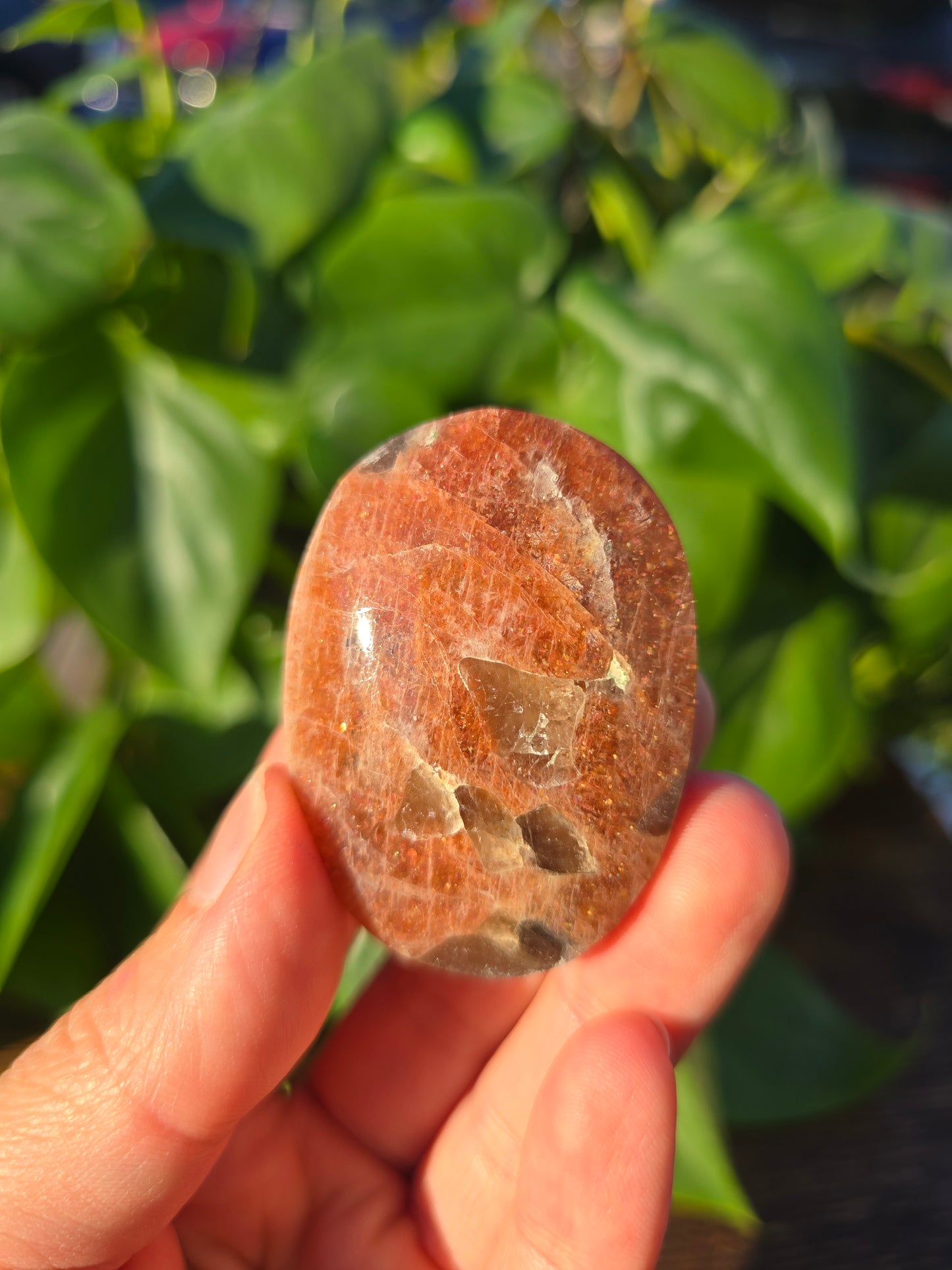 Tanzanian Sunstone Palm Stone "P"