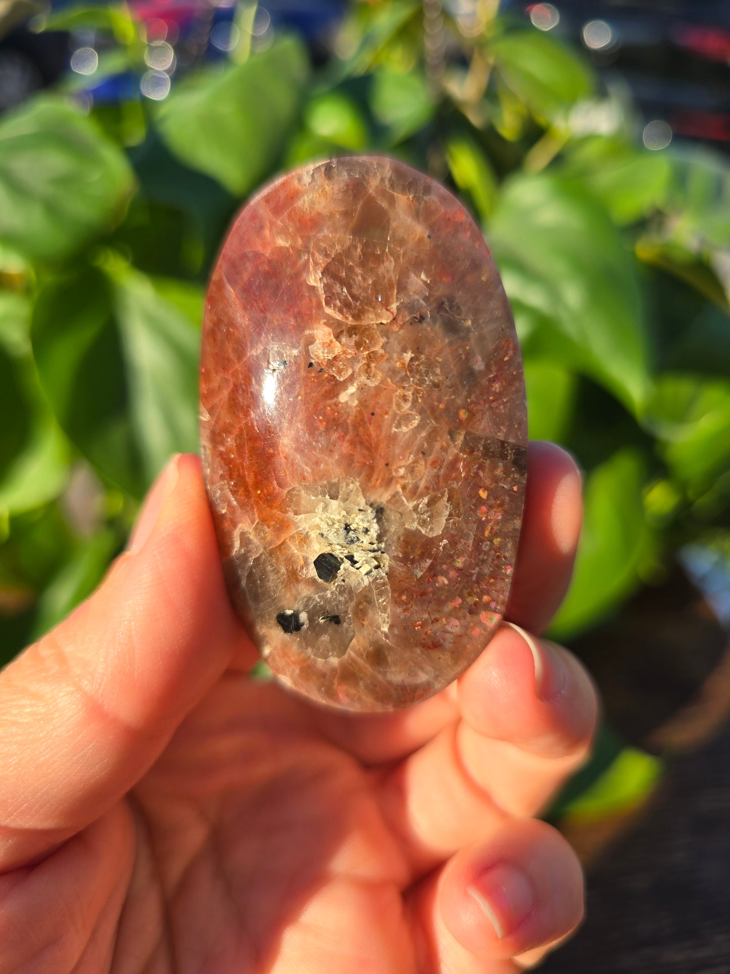 Tanzanian Sunstone Palm Stone "M"
