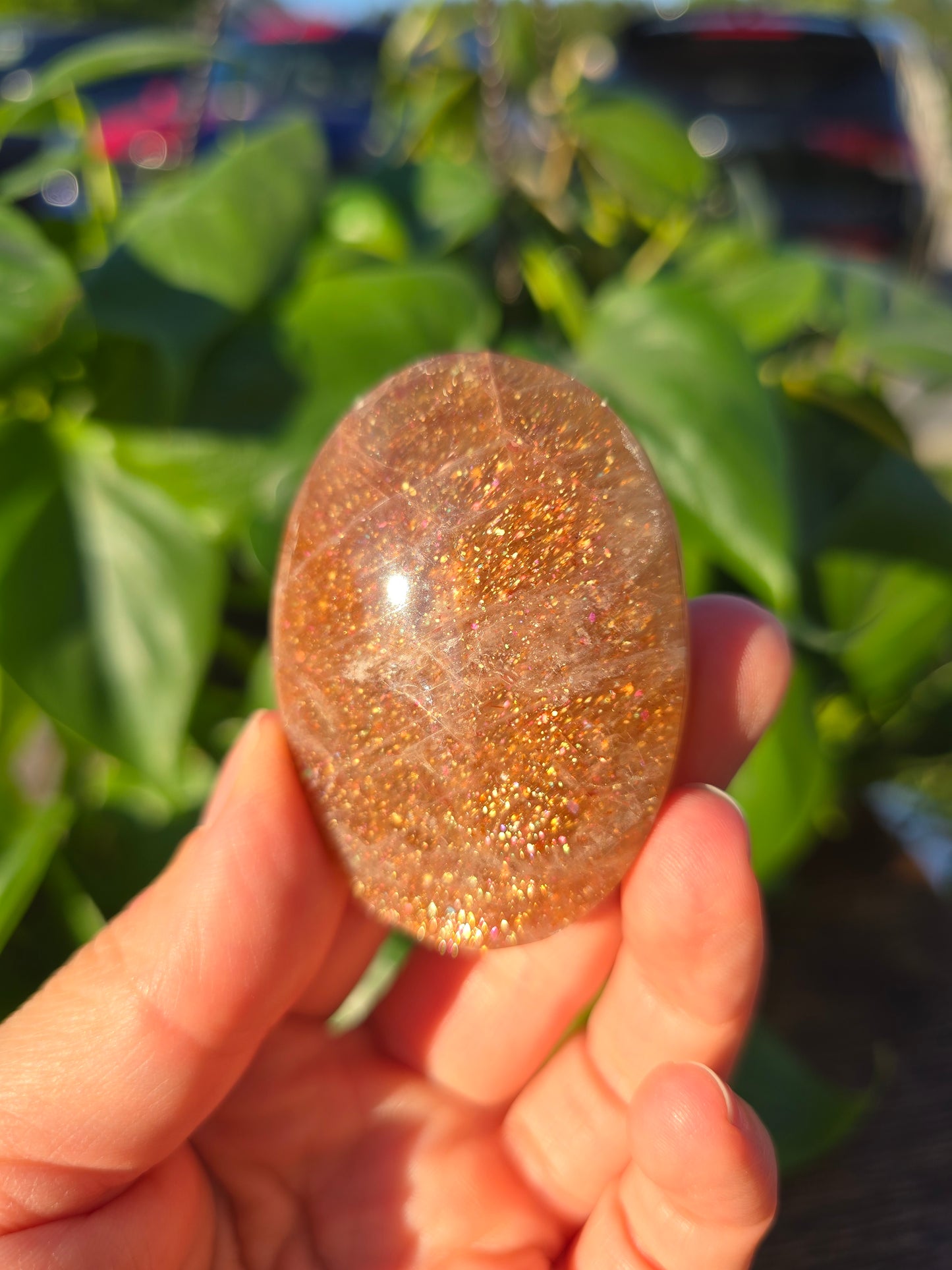 Tanzanian Sunstone Palm Stone "L"