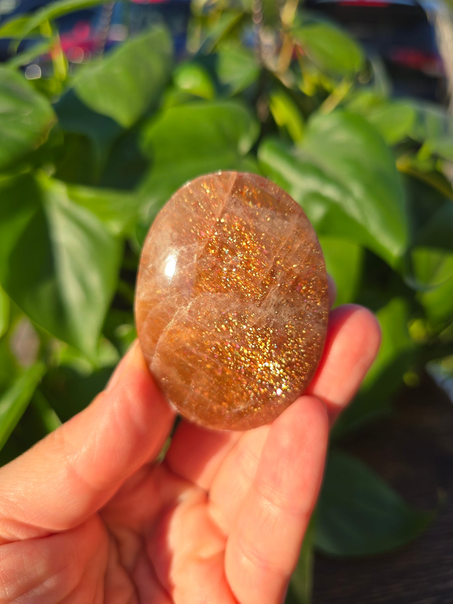Tanzanian Sunstone Palm Stone "L"