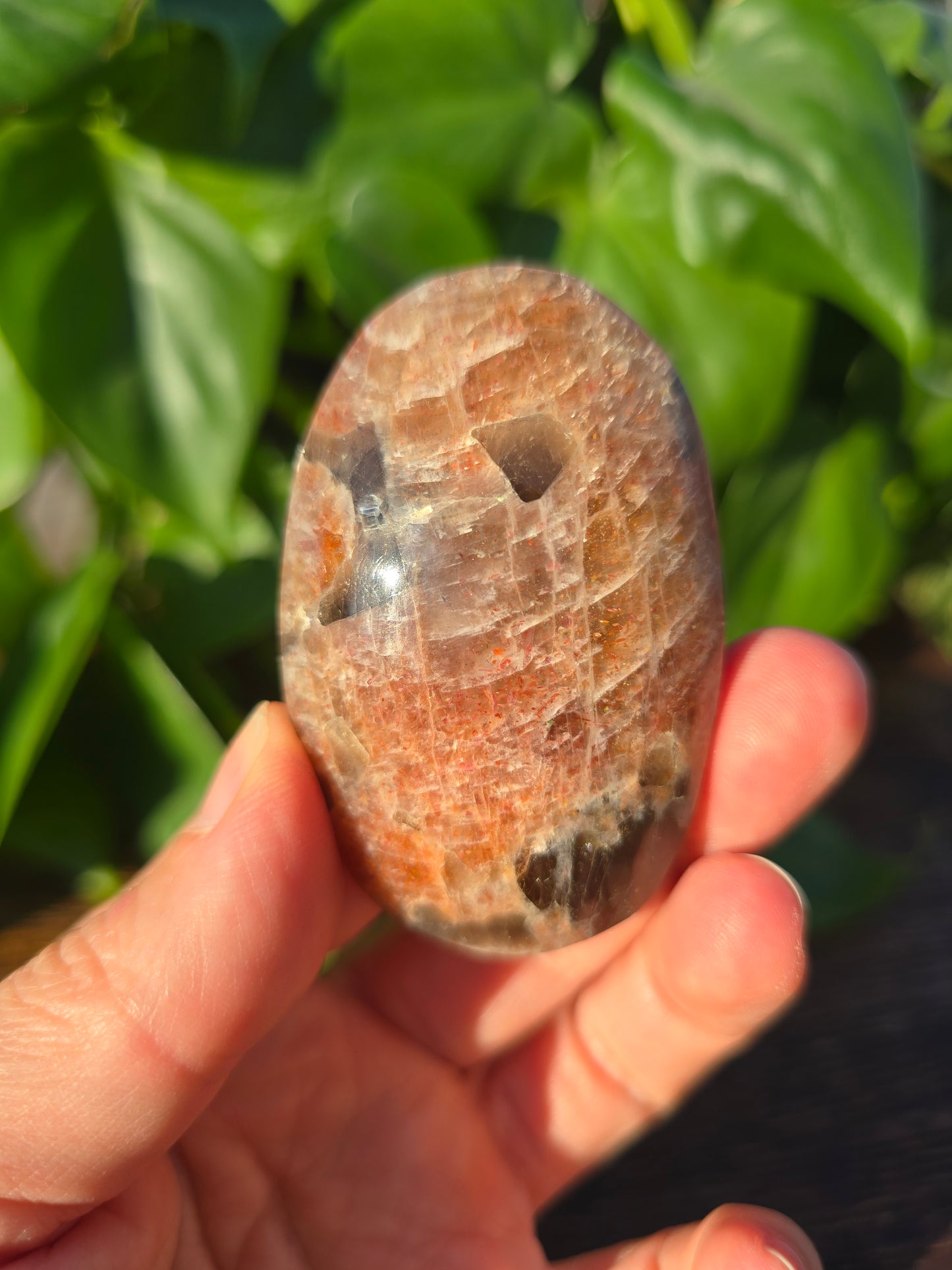 Tanzanian Sunstone Palm Stone "F"