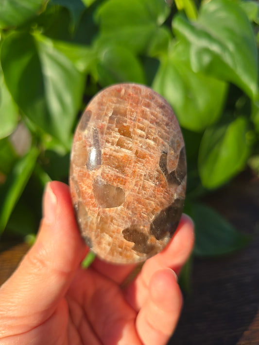 Tanzanian Sunstone Palm Stone "F"