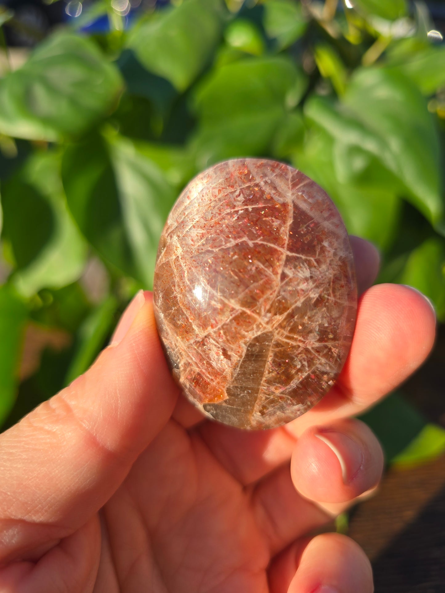 Tanzanian Sunstone Palm Stone "E"