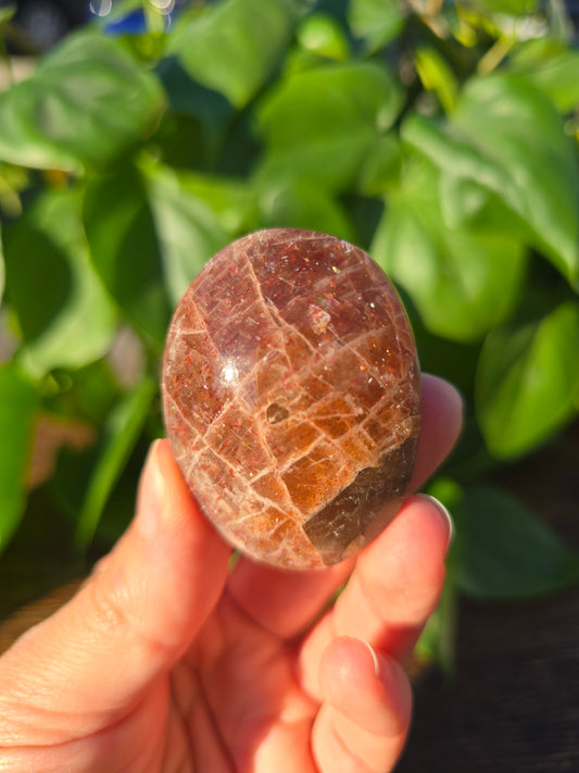 Tanzanian Sunstone Palm Stone "E"