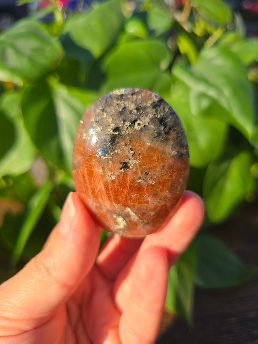 Tanzanian Sunstone Palm Stone "D"