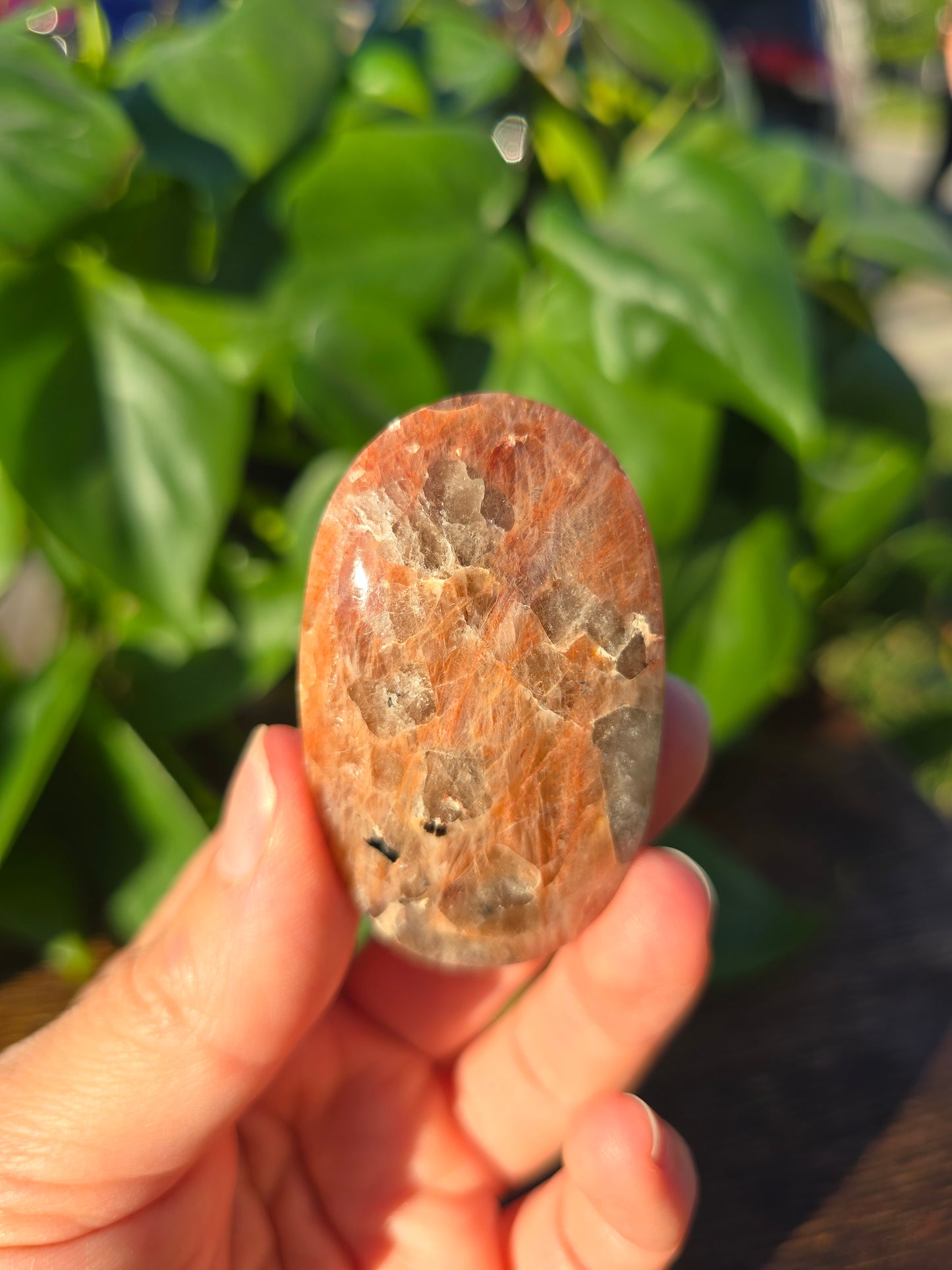 Tanzanian Sunstone Palm Stone "C"