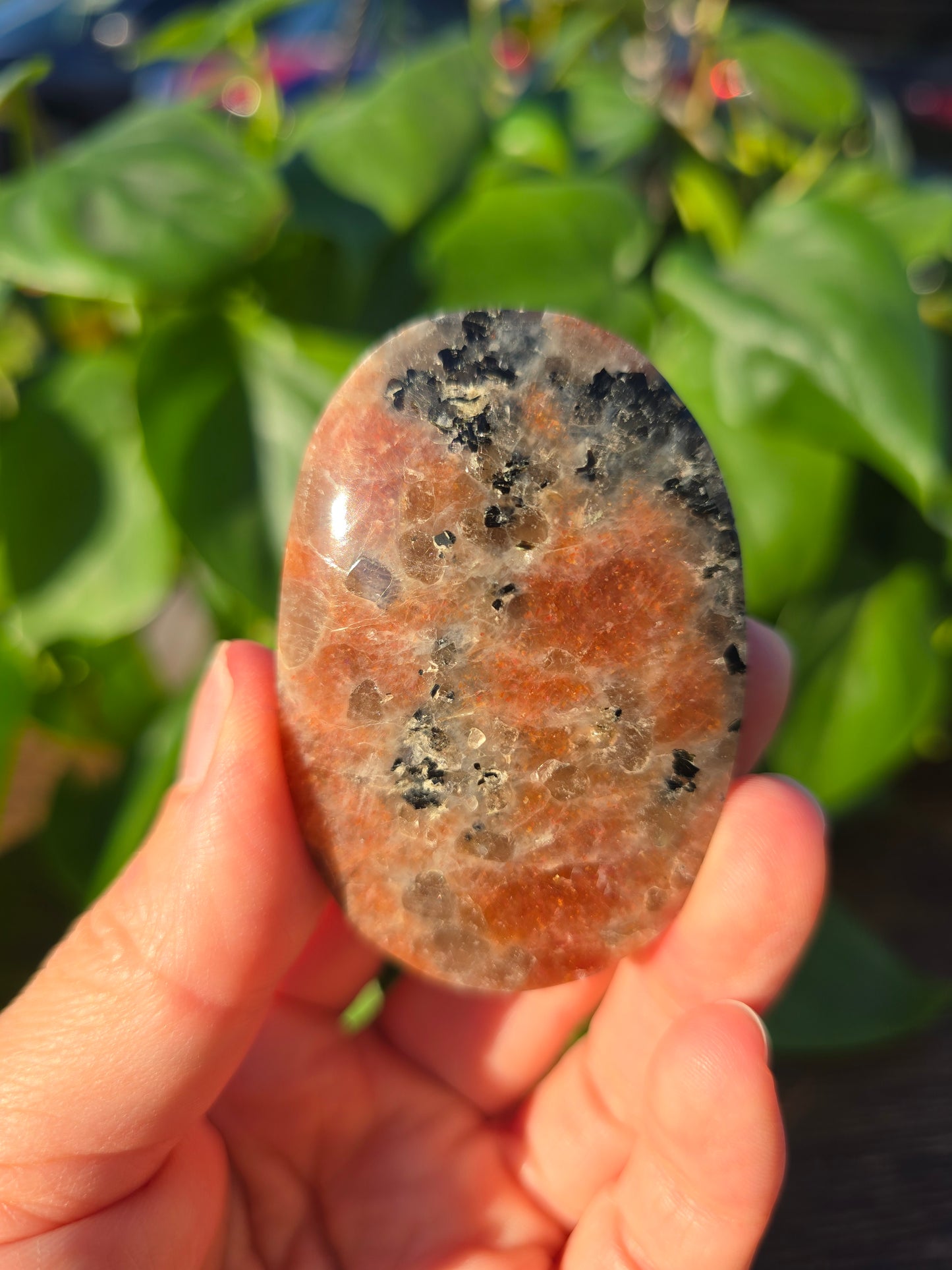 Tanzanian Sunstone Palm Stone "B"