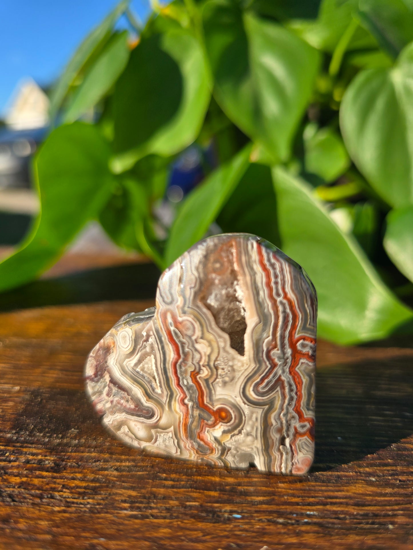 Mexican Crazy Lace Agate Crystal Heart Carving "E"