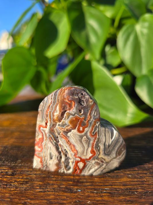 Mexican Crazy Lace Agate Crystal Heart Carving "E"