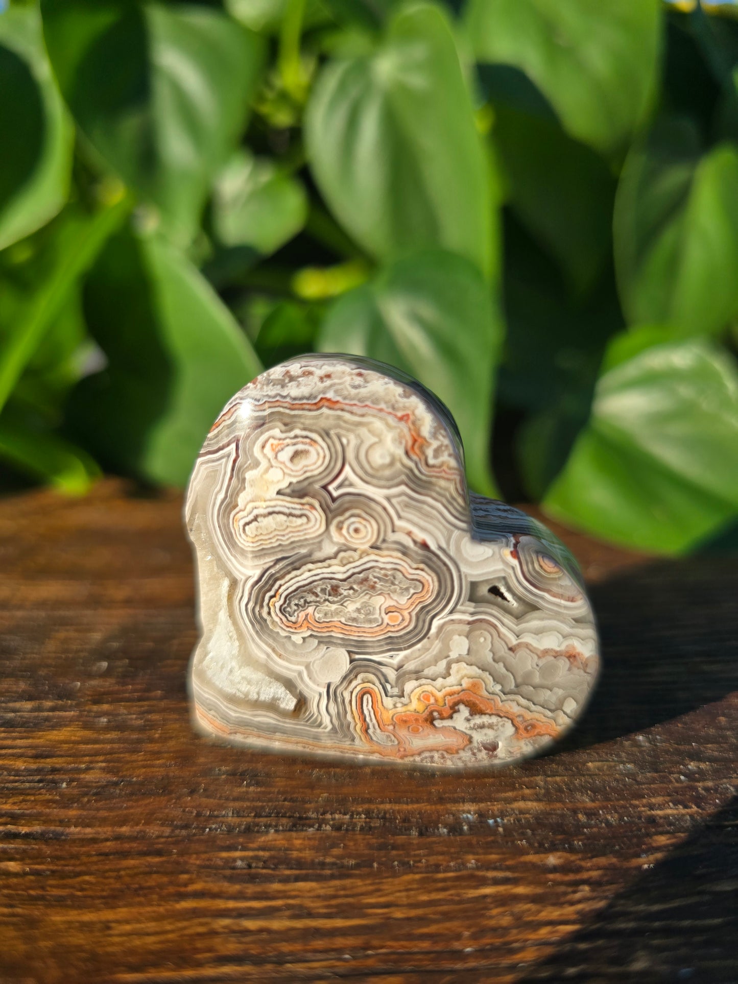 Mexican Crazy Lace Agate Crystal Heart Carving "D"