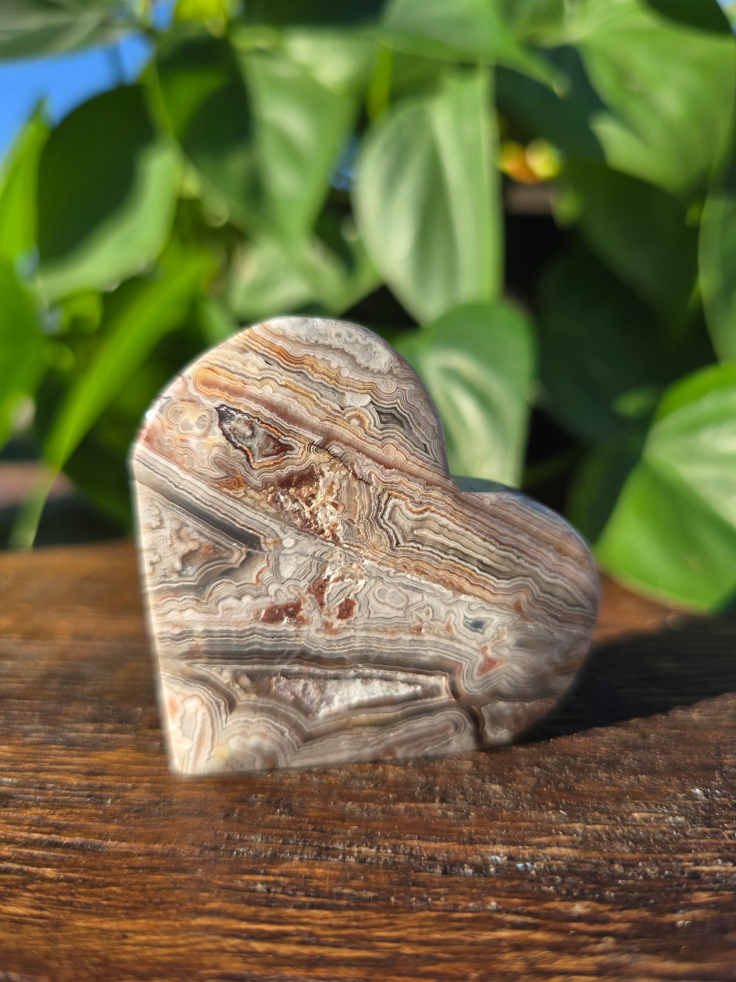 Mexican Crazy Lace Agate Crystal Heart Carving "B"
