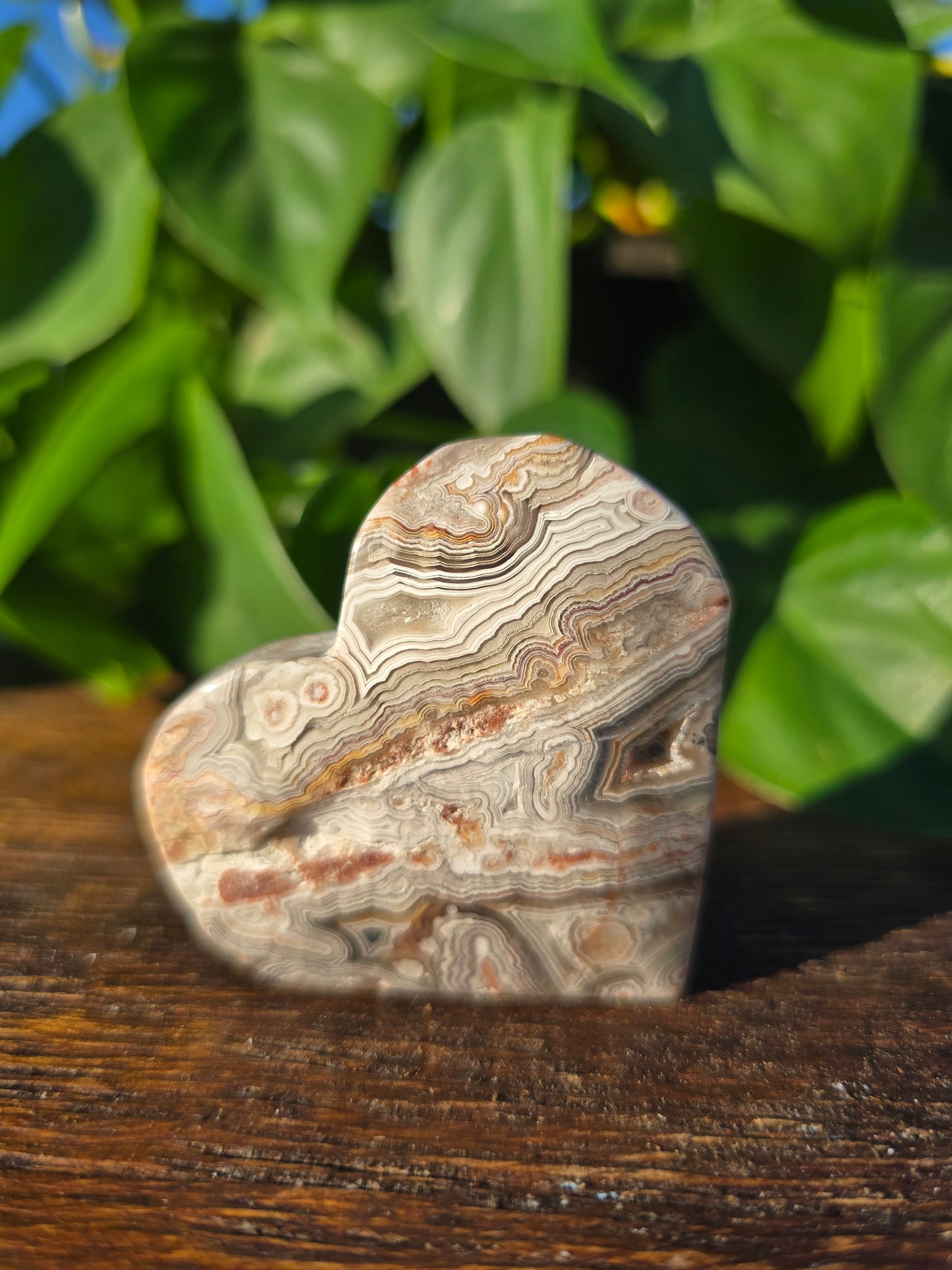 Mexican Crazy Lace Agate Crystal Heart Carving "B"