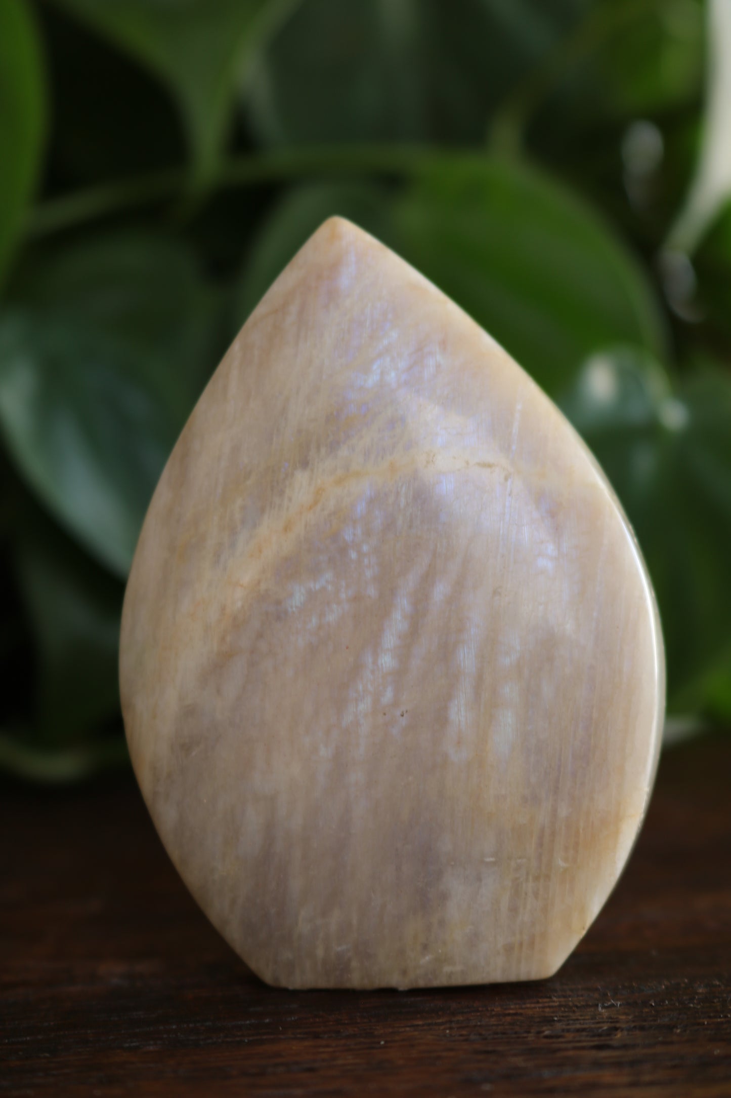 Moonstone Flipper