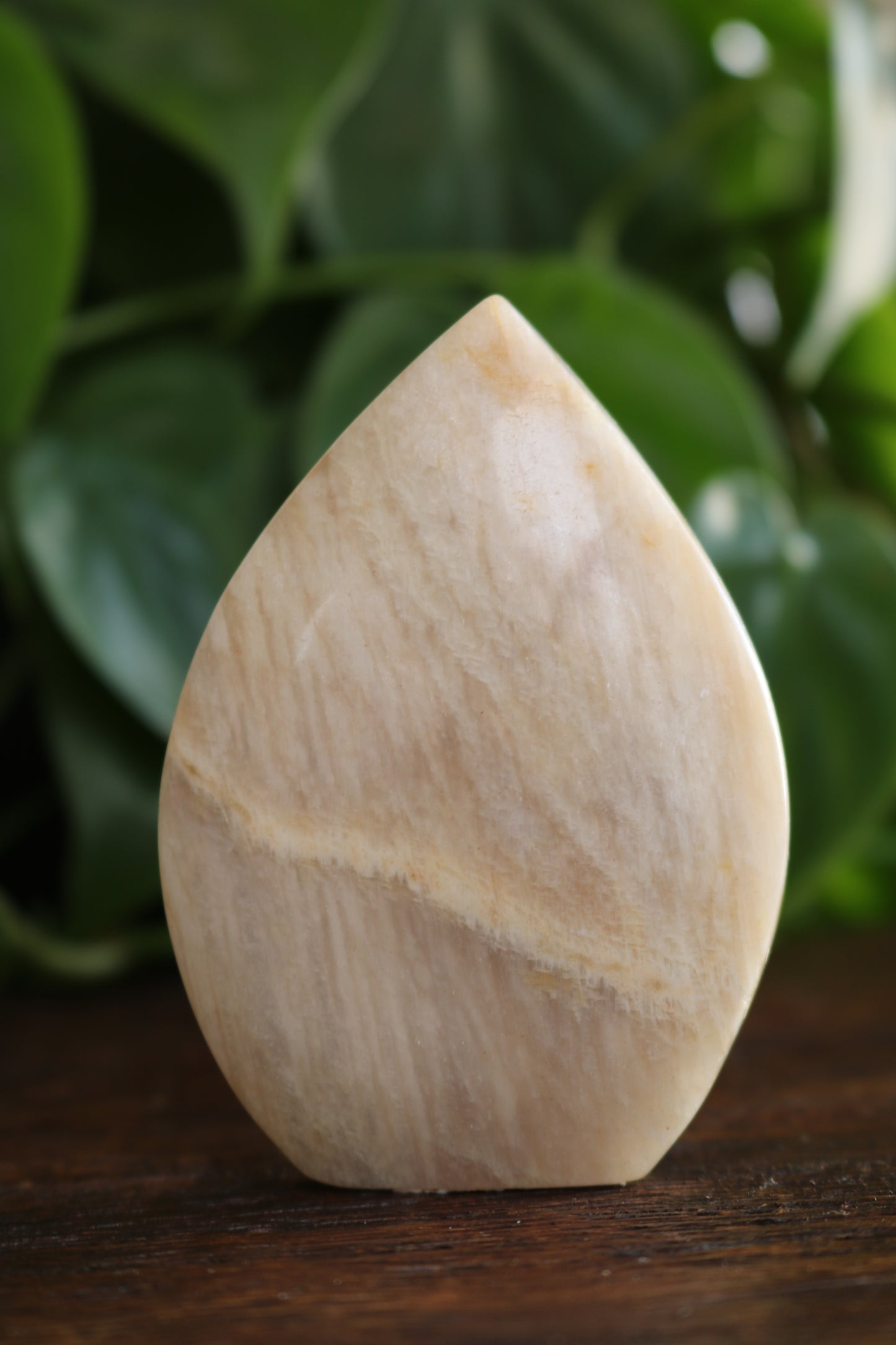 Moonstone Flipper