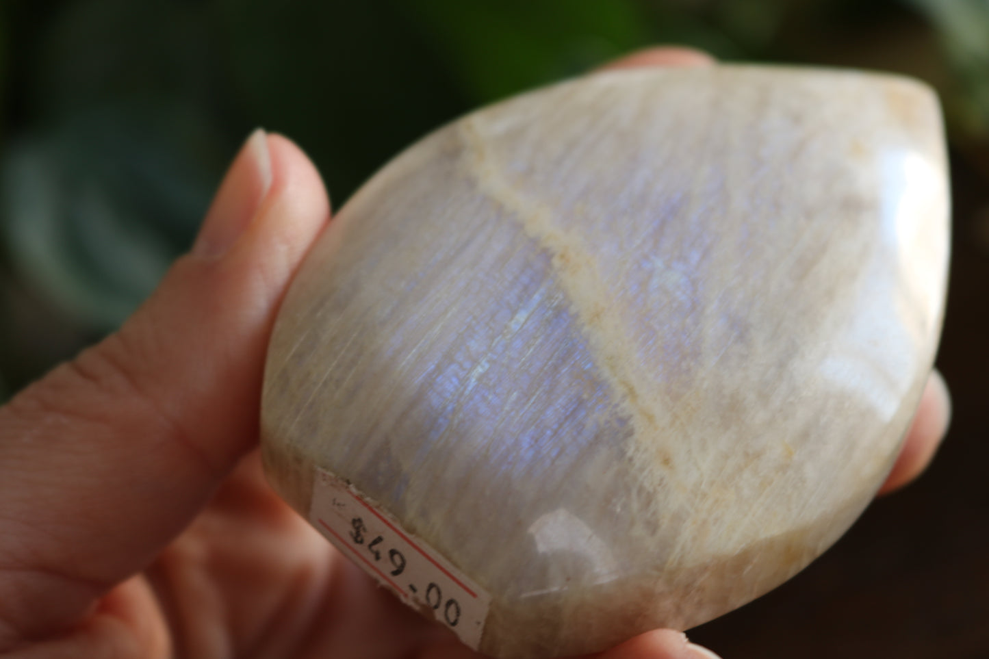 Moonstone Flipper