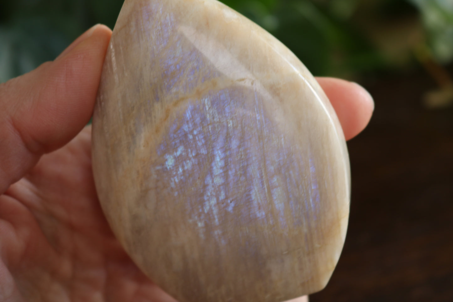 Moonstone Flipper