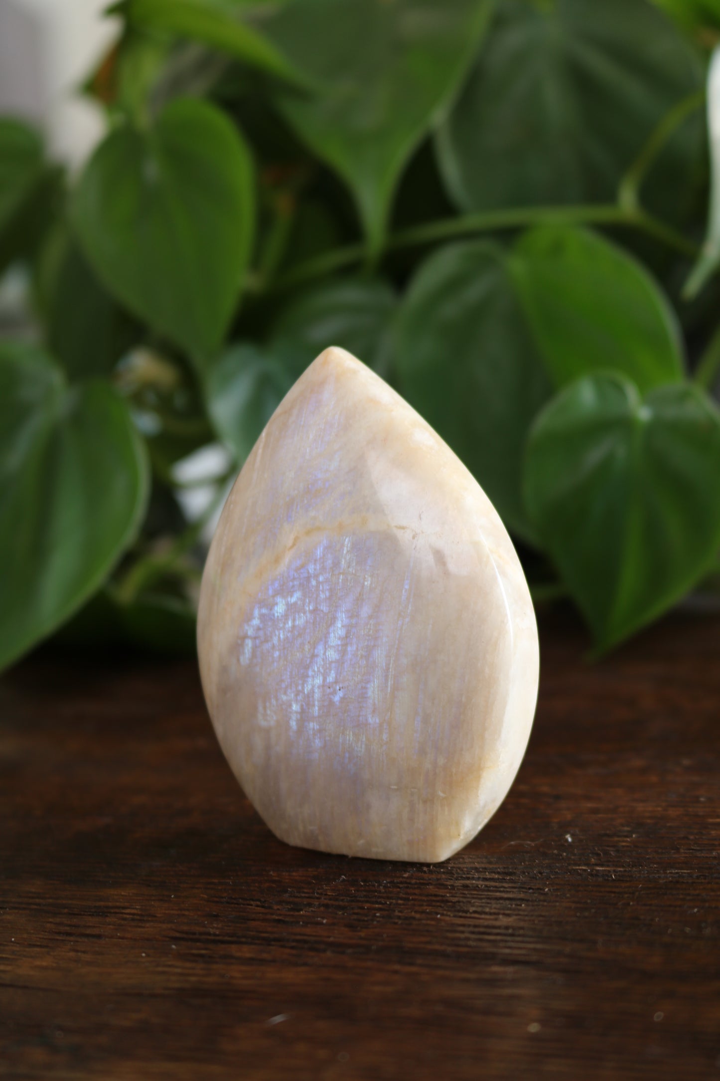 Moonstone Flipper