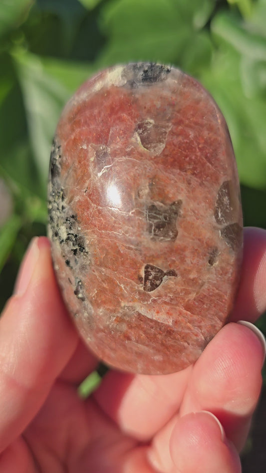 Tanzanian Sunstone Palm Stone "B"