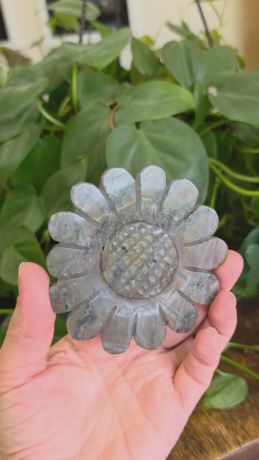 Labradorite Sunflower Carving