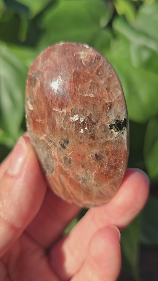 Tanzanian Sunstone Palm Stone "C"