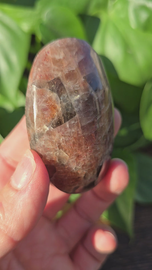 Tanzanian Sunstone Palm Stone "F"