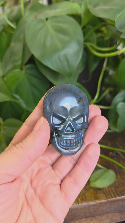 Labradorite Skull Carving "C"