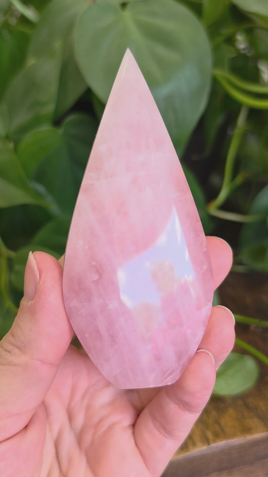 Rose Quartz Flipper Carving "B"