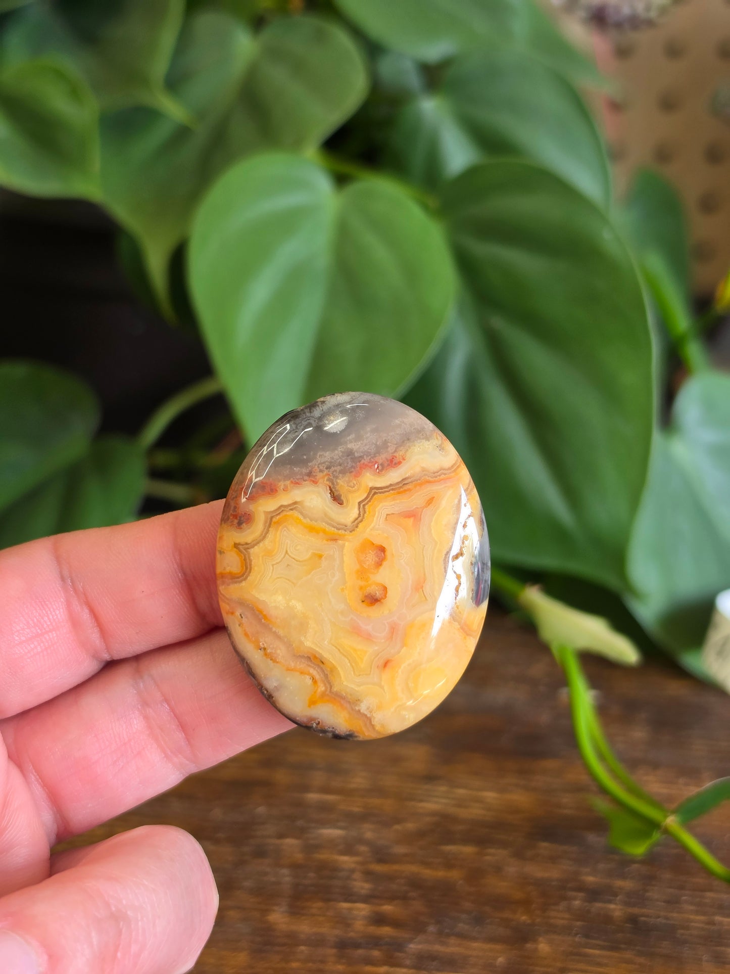 Mexican Crazy Lace Agate Crystal Worry Stone