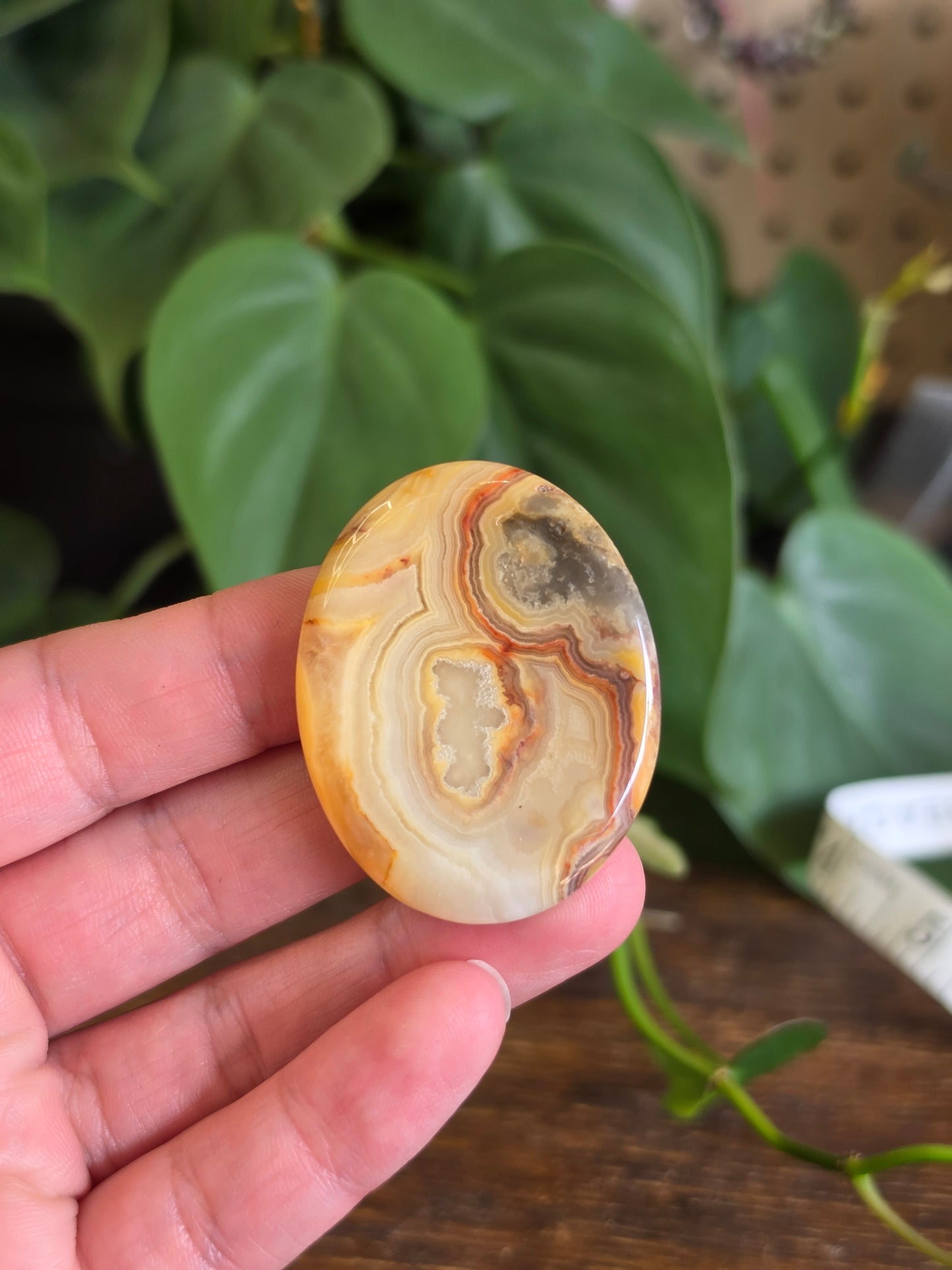 Mexican Crazy Lace Agate Crystal Worry Stone