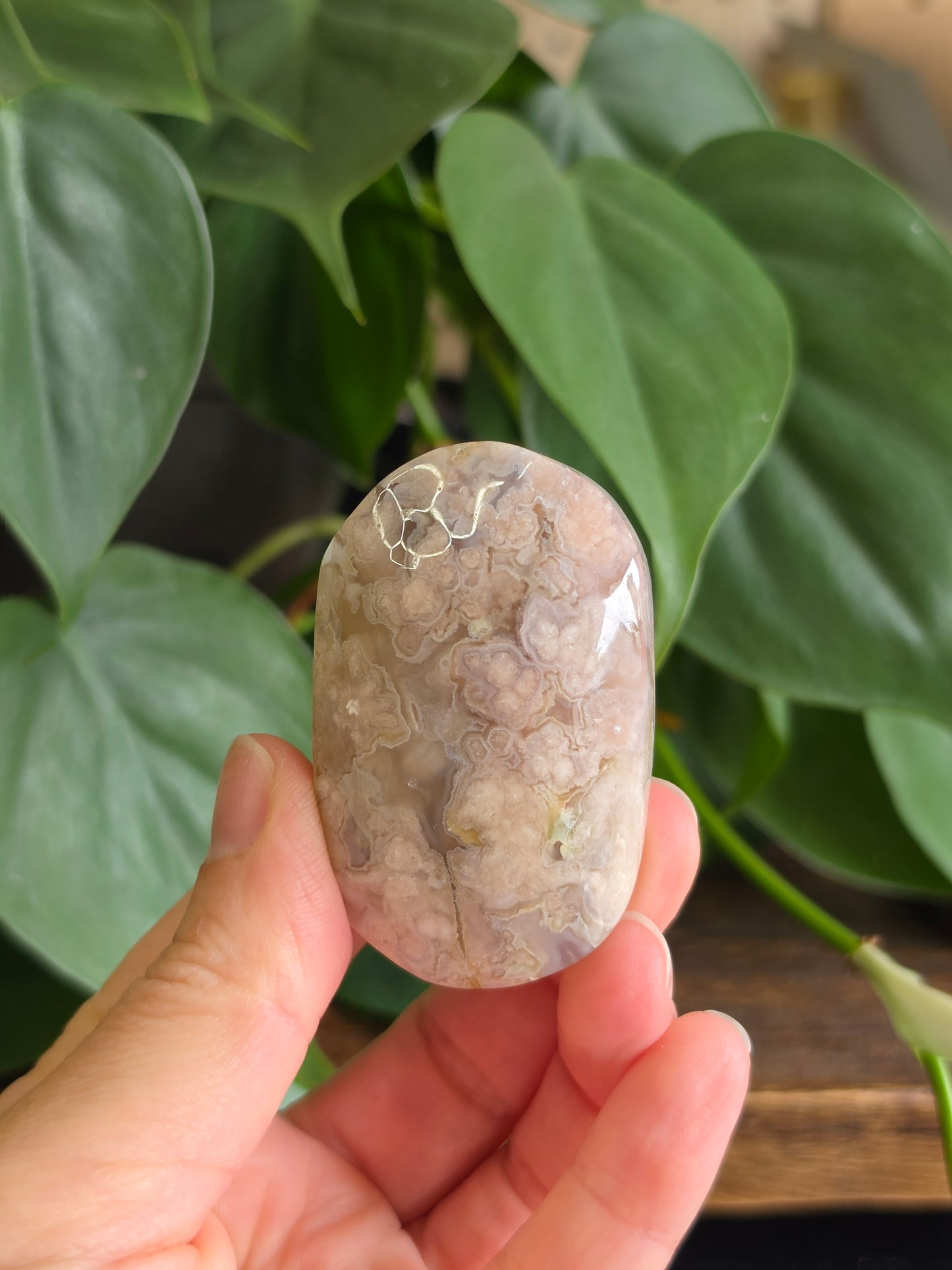 Flower Agate Crystal Palm Stone "J"