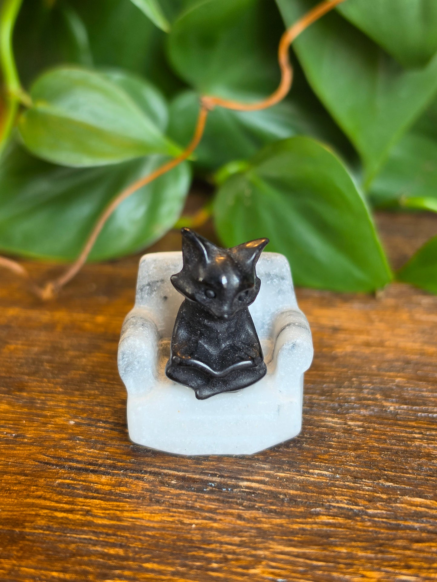 Obsidian Fox on a Zebra Stone Chair