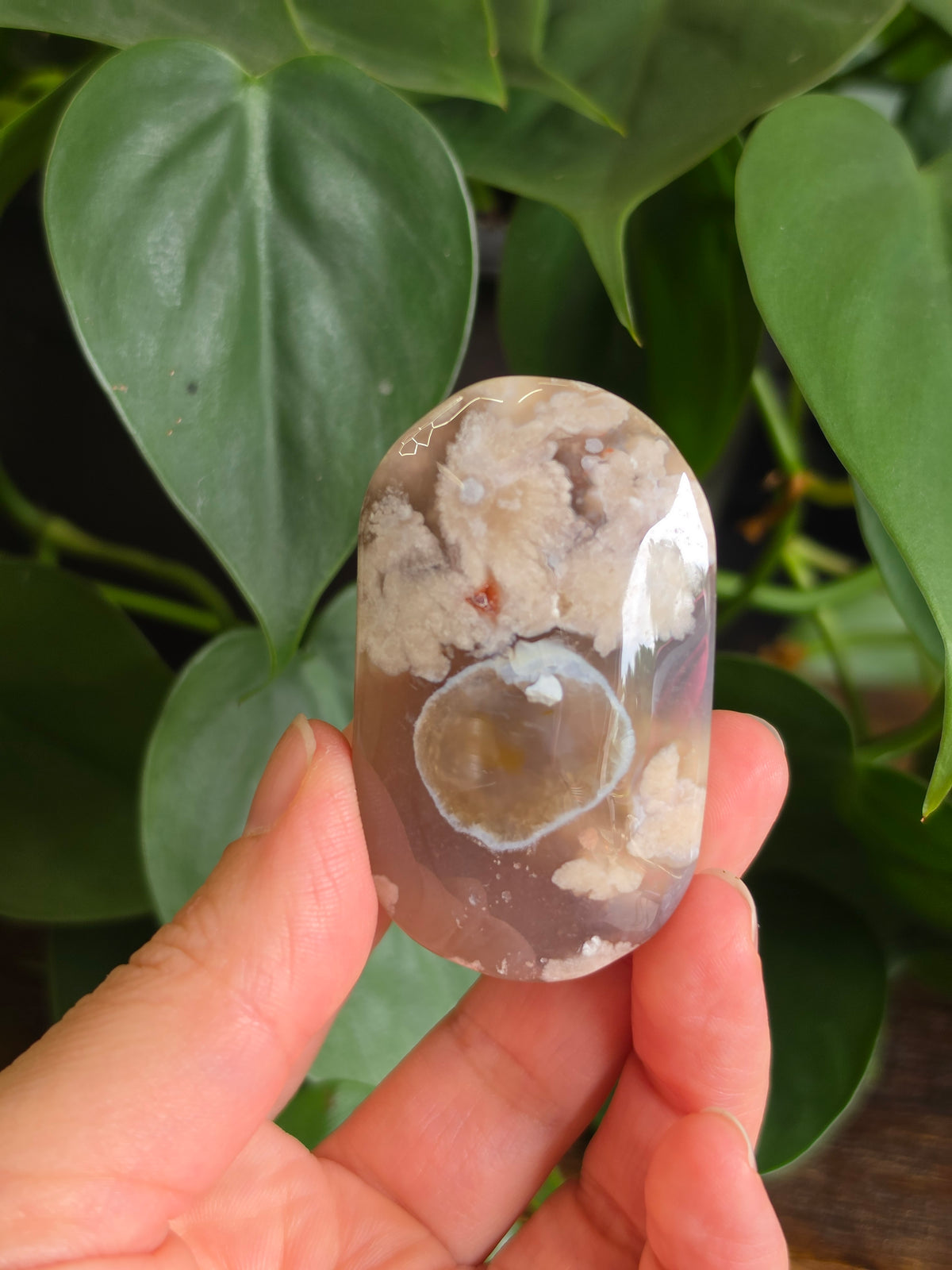 Flower Agate Crystal Palm Stone "C"