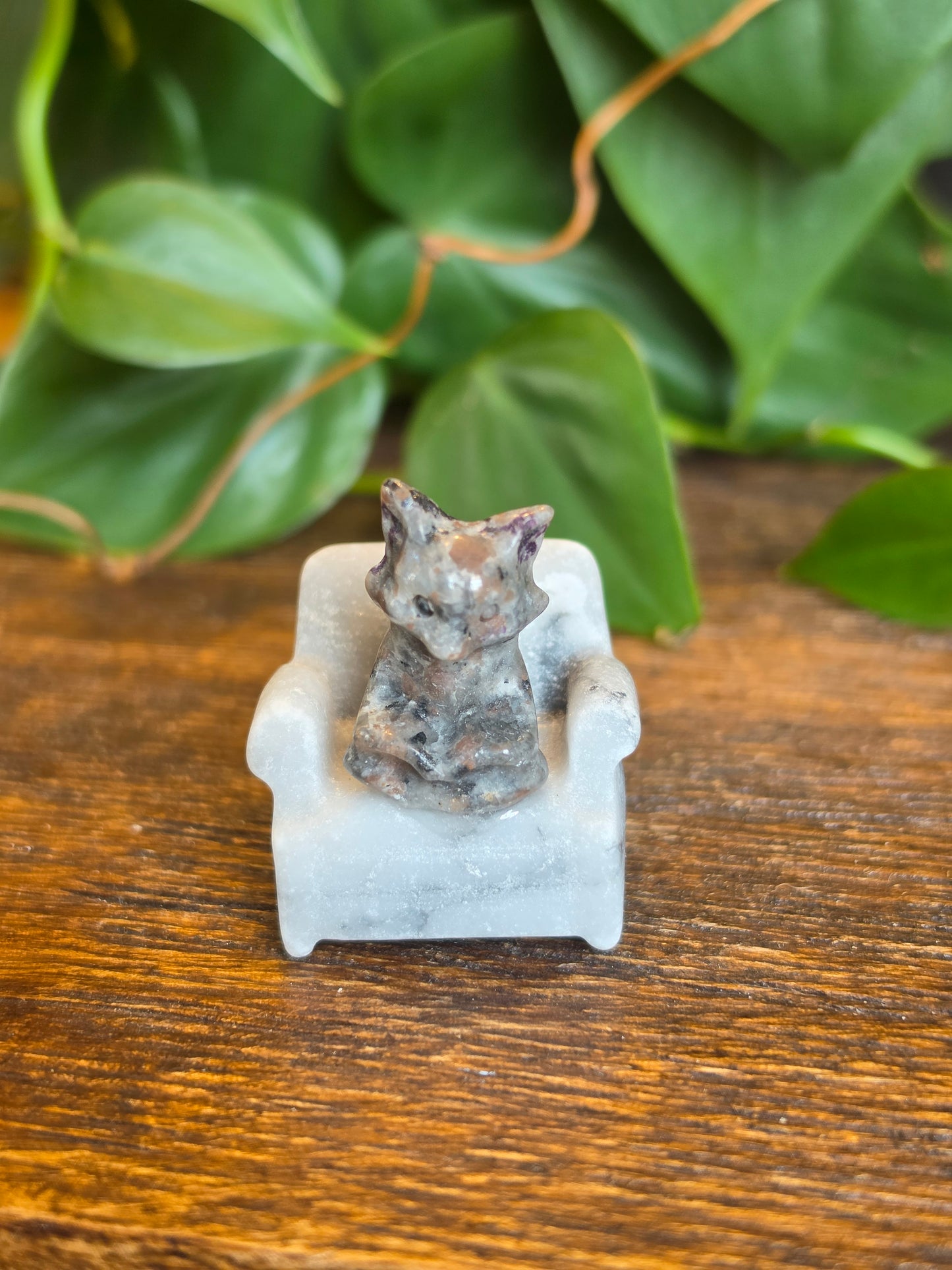 UV Sodalite Fox on a Zebra Stone Chair