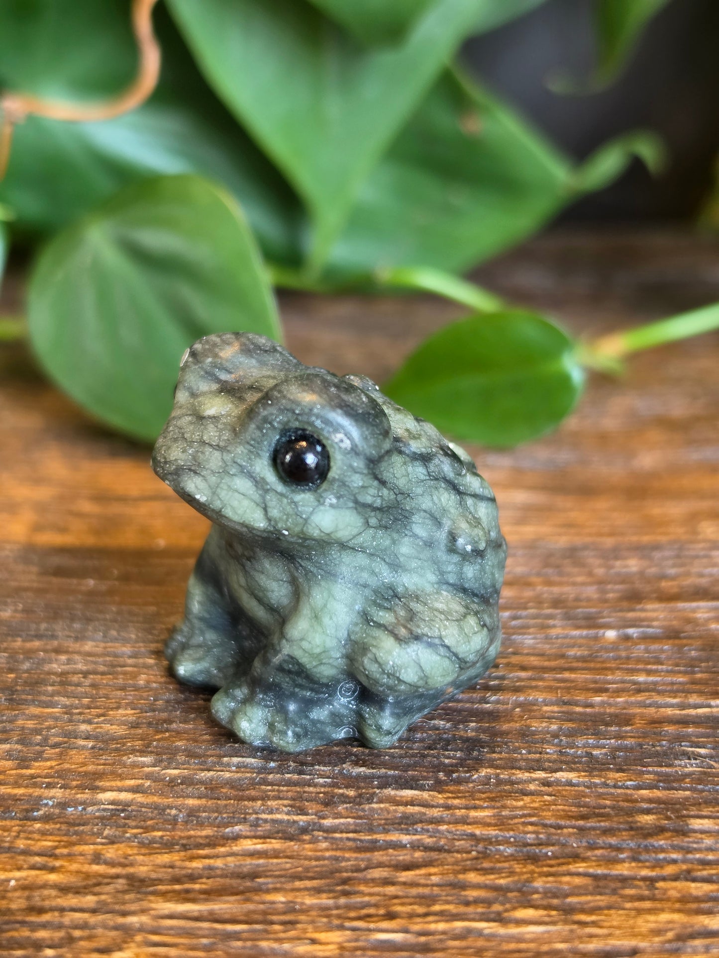 Serpentine Crystal Frog Carving (One Piece)
