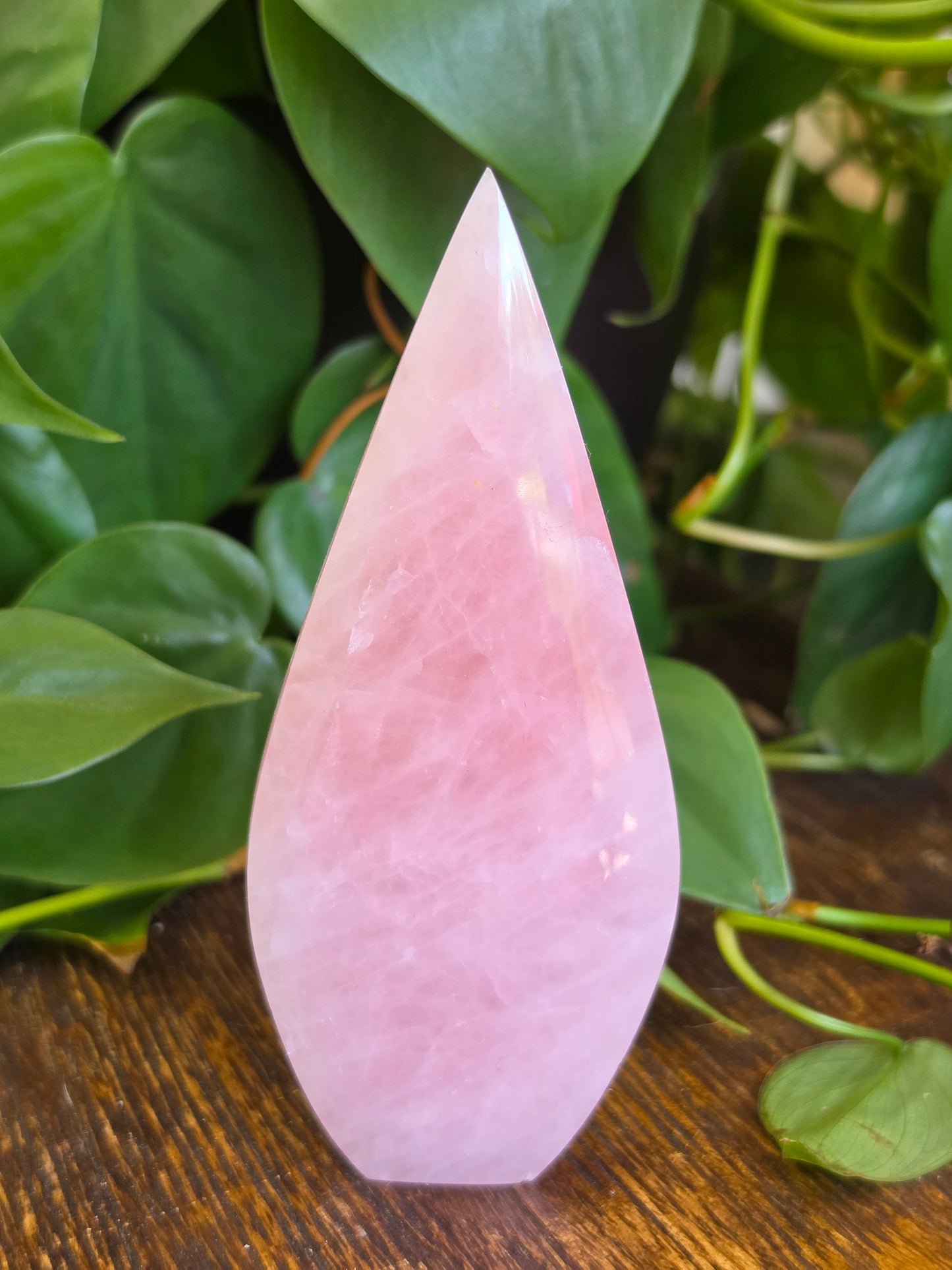 Rose Quartz Flipper Carving "A"