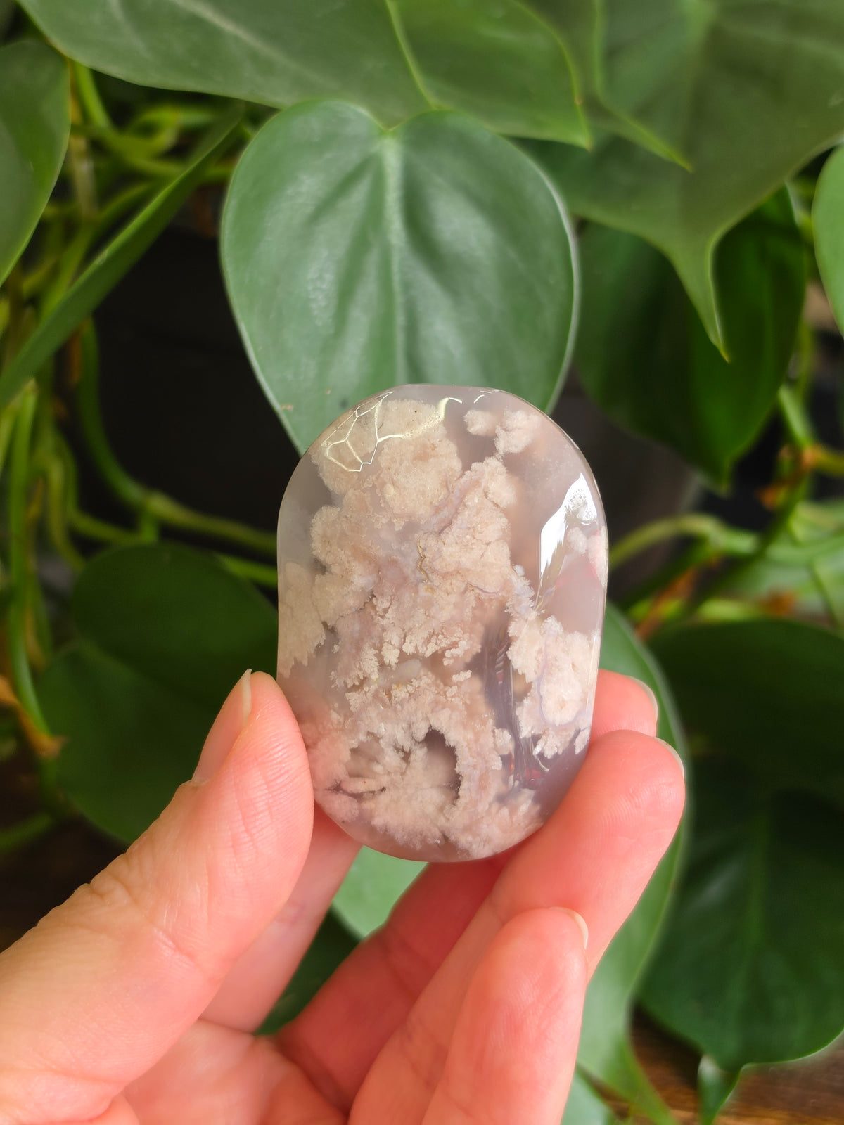 Flower Agate Crystal Palm Stone "B"