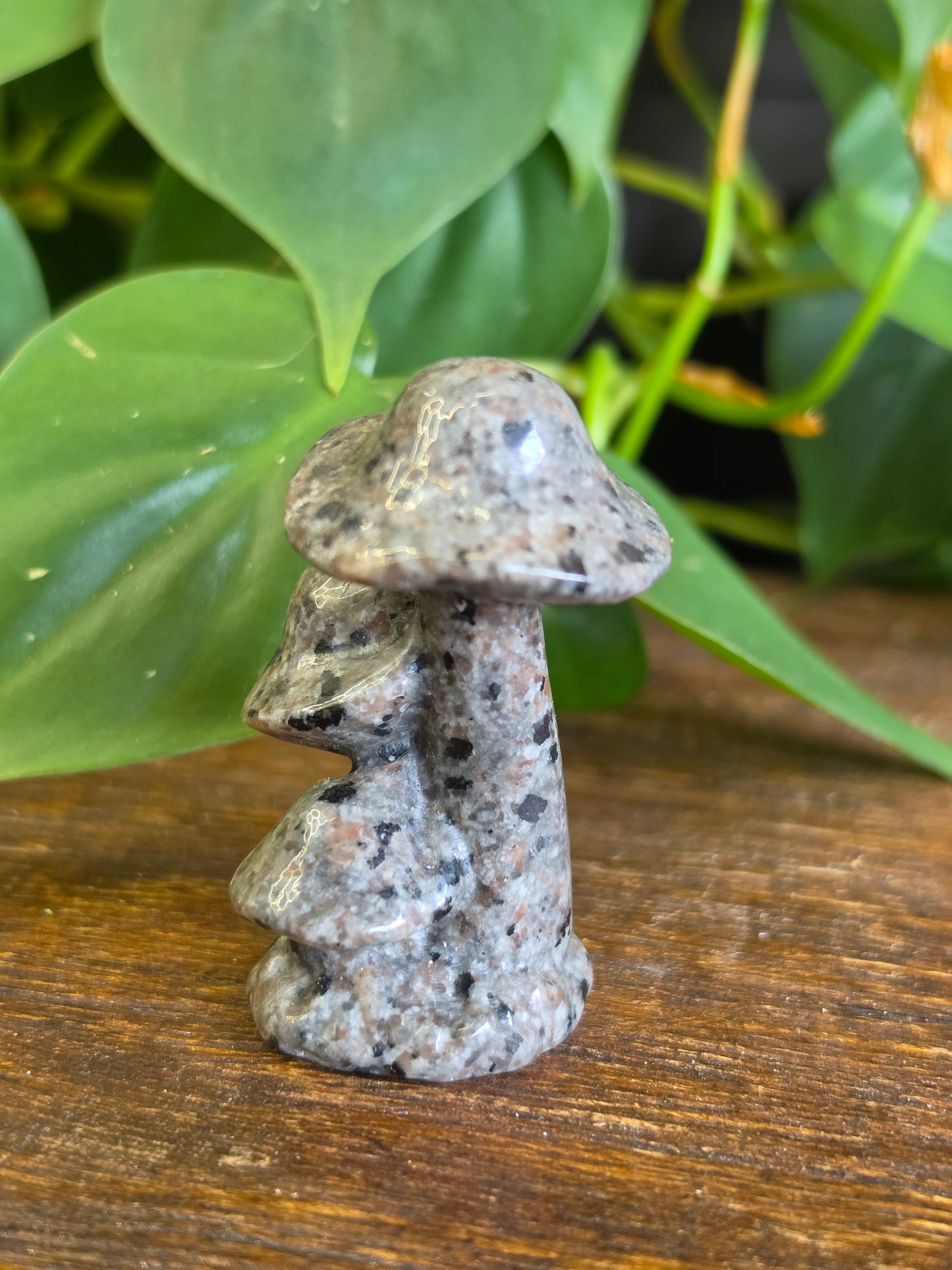 UV Reactive Sodalite Yooperlite Triple Mushroom Carving